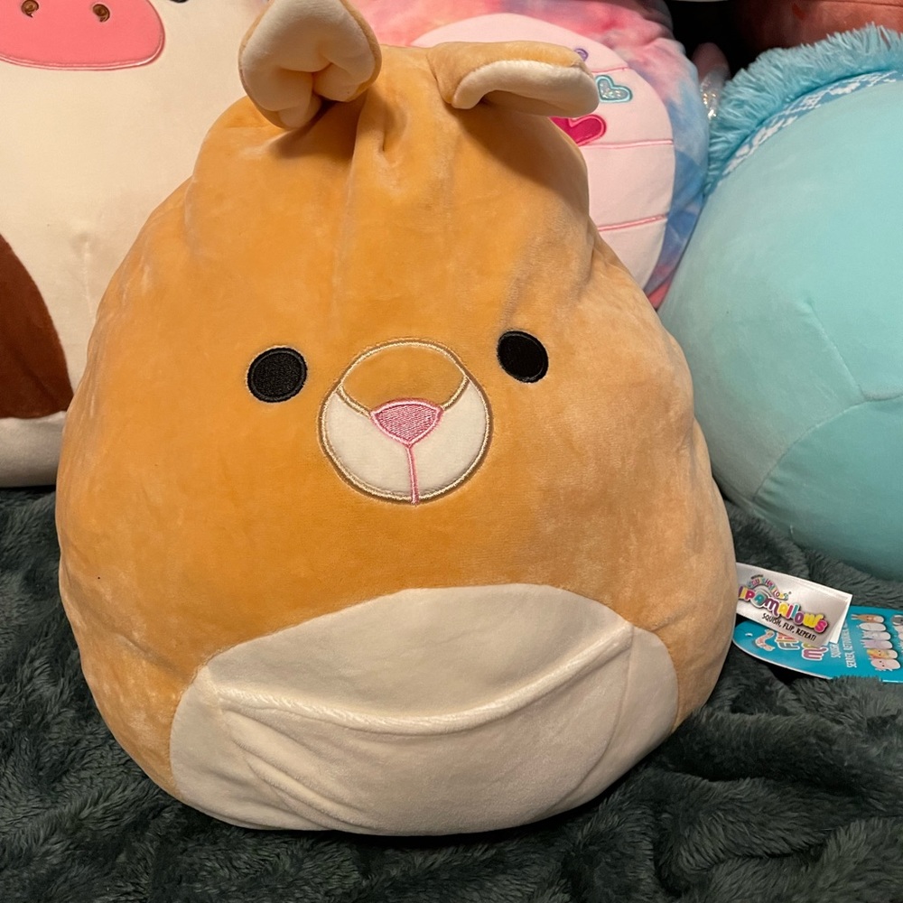 Keely/Kirk Koala and Kangaroo Flipamallow Squishmallow